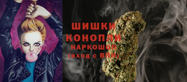 Альфа ПВП Аркадак