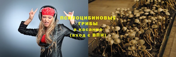 Альфа ПВП Аркадак