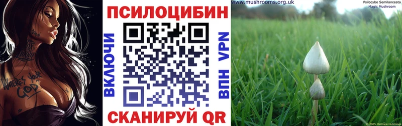 Галлюциногенные грибы GOLDEN TEACHER  Орёл 
